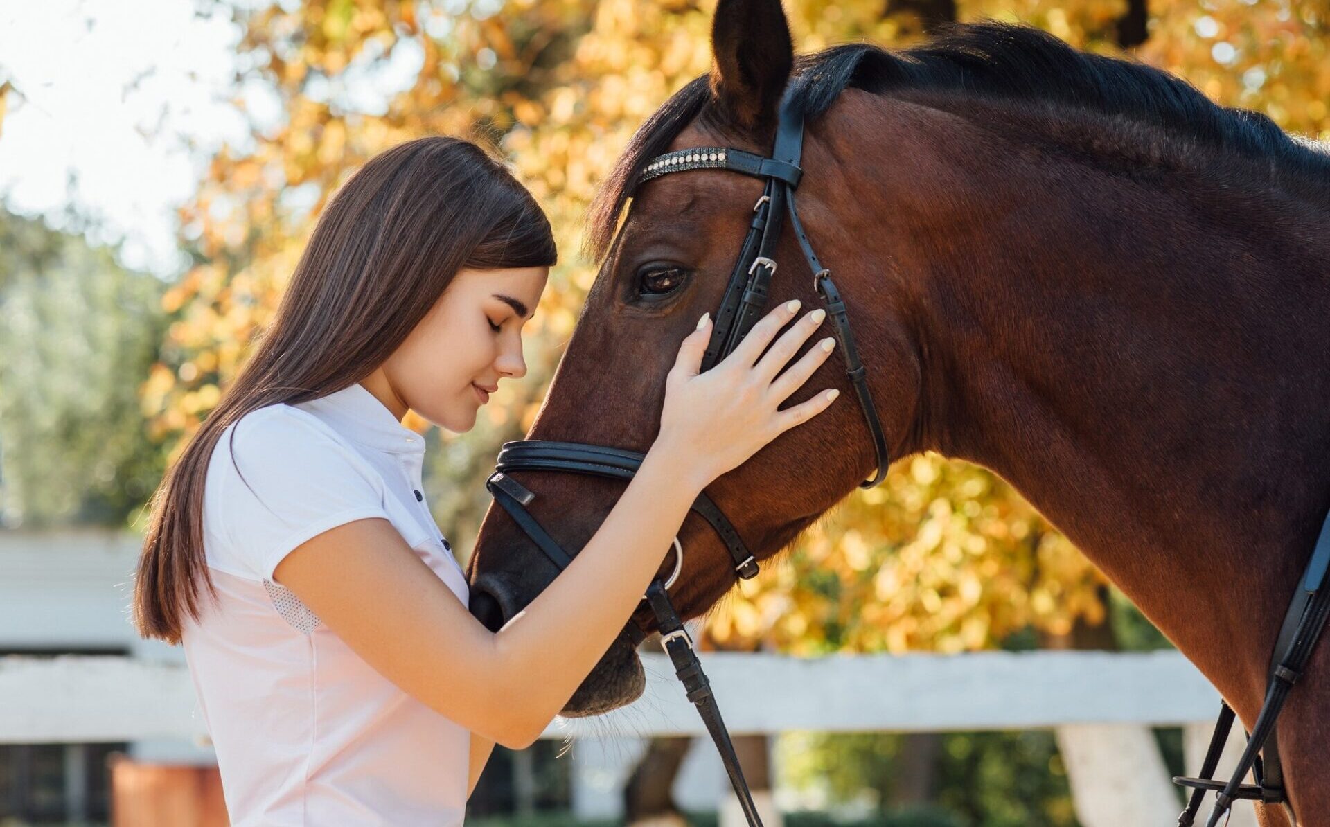 Soins reiki et communication animale